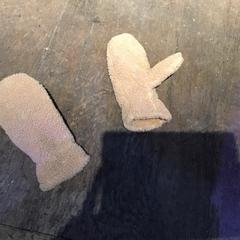 Wanten, segons ha informat De Heeren van Aemstel mitjançant iLost