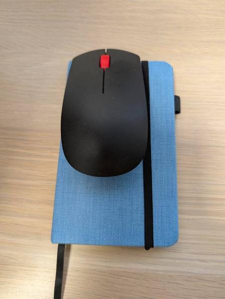 Myš