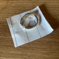 Prsten, jak nahlášeno Attractie- & Vakantiepark Slagharen pomocí iLost