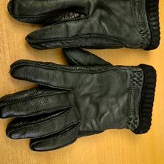 グローブ Zwart がiLostで Mauritshuis Den Haag によって報告されました