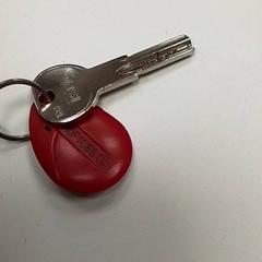 Chave, como reportado por ilévia utilizando o iLost