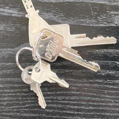 sleutelbos, jak bylo nahlášeno na iLost