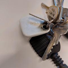 Sleutelbos، كما تم الإبلاغ عنه عبر iLost