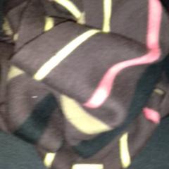 شال، كما تم الإبلاغ عنه بواسطة TivoliVredenburg عبر iLost