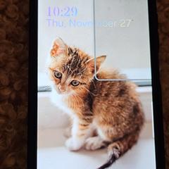 Samsung, as reported to iLost