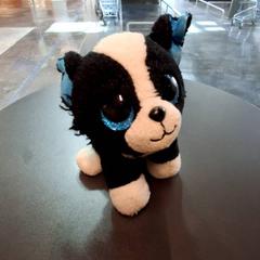 Cuddly toy Noir, as reported by IKEA Nice Saint Isidore using iLost