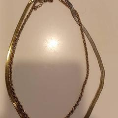 Ketting, segons ha informat RAI Amsterdam mitjançant iLost