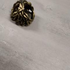 Ringe, som rapportert av Arriva Friesland / Groningen ved bruk av iLost