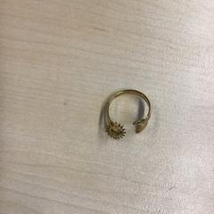 Prsten, jak nahlášeno Gemeente Nijmegen pomocí iLost