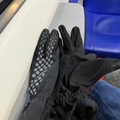 Handschoenen, som rapporterats till iLost