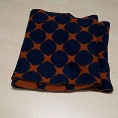 Sjal, rapporterat av Arriva Oost-Brabant med iLost