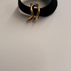 Anel Goudkleurig, segundo informou HvA Amstelcampus usando iLost