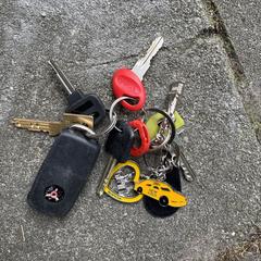 Sleutelbos, jak bylo nahlášeno na iLost