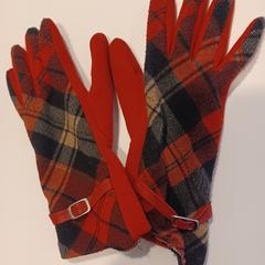 Handschoen PAN rood, segundo informou RAI Amsterdam usando iLost