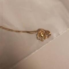 Bájos nyaklánc met hangertje, amint azt Zuyderland MC Sittard-Geleen az iLost segítségével jelentette.