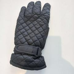 Rękawica, zgłoszono przez Arriva Limburg Zuid przy użyciu iLost