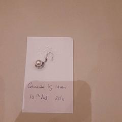 Pendiente Silver, ha sido reportado por Van der Valk Hotel Schiphol con iLost