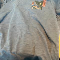 T-shirt, as reported by Mainport using iLost