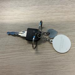 Bicycle key, as reported by Gemeente Arnhem using iLost
