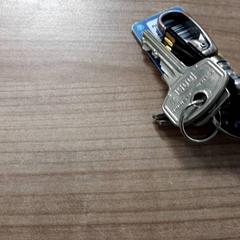 Porte-clés, a été signalé par Connexxion Haarlem AML utilisant iLost