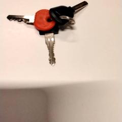 Klíč, jak nahlášeno Gemeente Puurs-Sint-Amands pomocí iLost