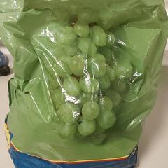 Bolsa - draagtas, segundo informou Centraal magazijn usando iLost