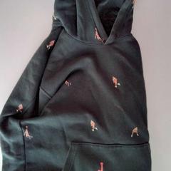 Bluza z kapturem, zgłoszono przez Twisto przy użyciu iLost