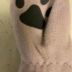 Hanske, som rapportert av Artis ved bruk av iLost