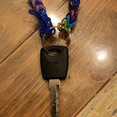 Sleuteltje aan kleurig armbandje, segundo informou a iLost
