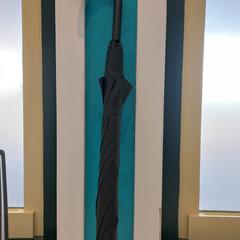 Aterkia, gisa salatu by Arriva Limburg Zuid iLost erabiliz