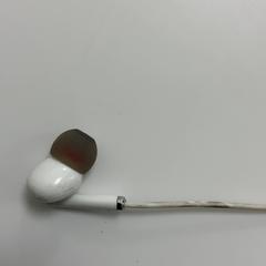 Earphone, as reported by Noida International Airport using iLost