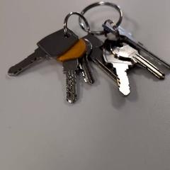 Clauer, segons ha informat IKEA Amsterdam mitjançant iLost