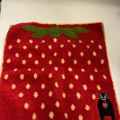 Mocador, segons ha informat IKEA鶴浜 mitjançant iLost