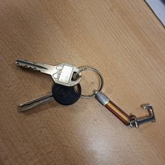 Schlüsselanhänger, gemeldet von Vrije Universiteit Brussel (VUB) über iLost