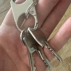 Sleutelbos, jak bylo nahlášeno na iLost