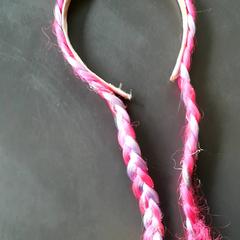 Cerchietto per capelli Met roze vlechtjes, come riportato da Burgers' Zoo utilizzando iLost