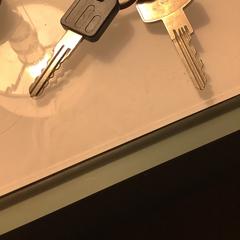 Sleutelbosje, ha sido reportado a iLost