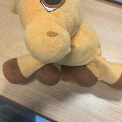 Knuffel, iLost를 사용하여 Pathé Zwolle에 보고됨