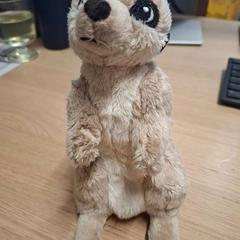 Stokstaartje knuffel, amint azt IKEA Duiven az iLost segítségével jelentette.