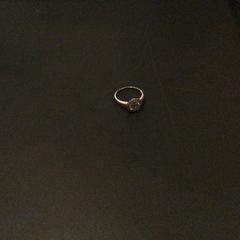 Earring, as reported by Van der Valk Hotel Amsterdam Zuidas using iLost