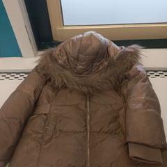 Dzseki, amint azt Arriva Limburg Zuid az iLost segítségével jelentette.