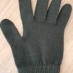 Luva Donker groen, como reportado por DierenPark Amersfoort utilizando o iLost