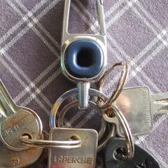 Sleutelbos, jak bylo nahlášeno na iLost