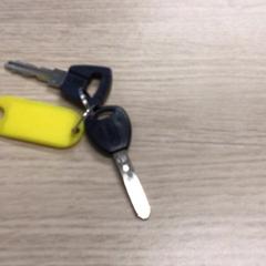 İLost kullanarak Gemeente Arnhem tarafından bildirildiği gibi Sleutels