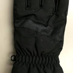 İLost kullanarak Burgers' Zoo tarafından bildirildiği gibi Handschoen Zwart