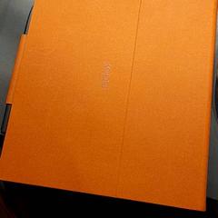 전자책 리더 e-readee, iLost를 사용하여 Campus Den Haag에 보고됨