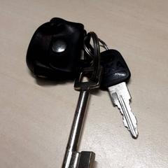 Nøkler, som rapportert av Arriva Oost-Brabant ved bruk av iLost