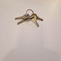 Chaveiro, como reportado por Gemeente Noordwijk utilizando o iLost