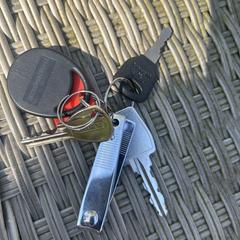 Sleutelbos, amint azt az iLostnak jelentették.