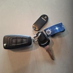 Autosleutel Ford, segons s'ha informat a iLost